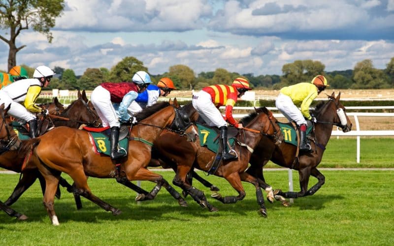 types of horse racing insurance policies