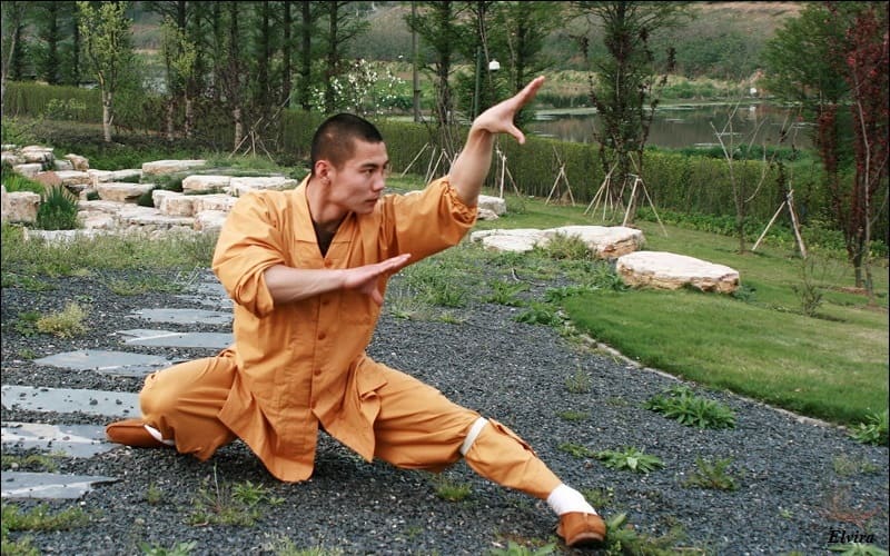 insurance policy for Kung Fu