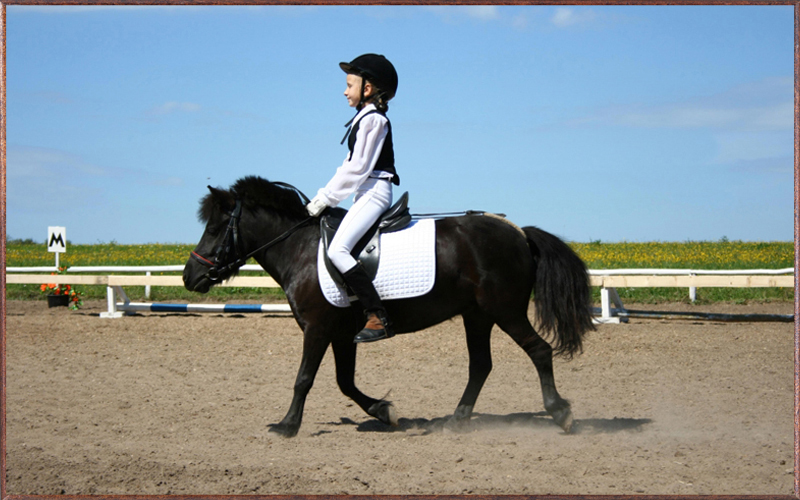 horse racing insurance for children