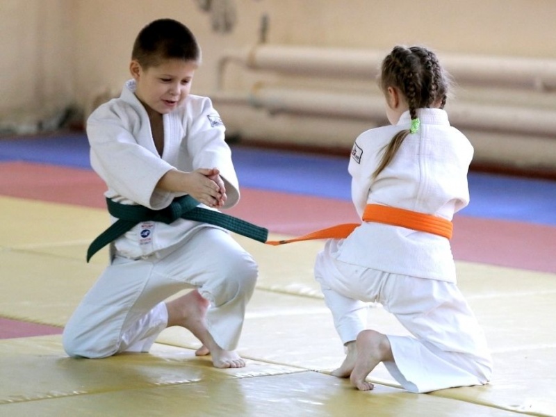 Children's insurance for aikido