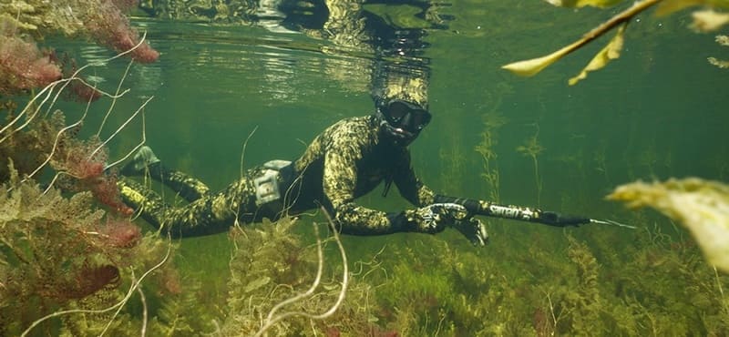 Sports insurance for spearfishing