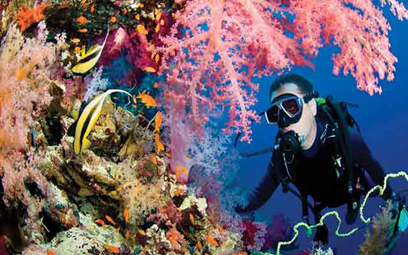 underwater diving insurance