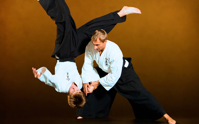 Sport insurance for aikido
