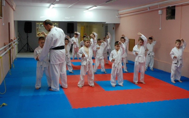 children's karate insurance