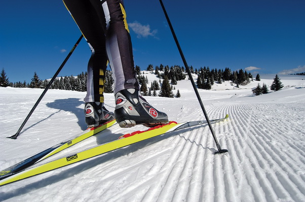 Insurance for cross country skiing