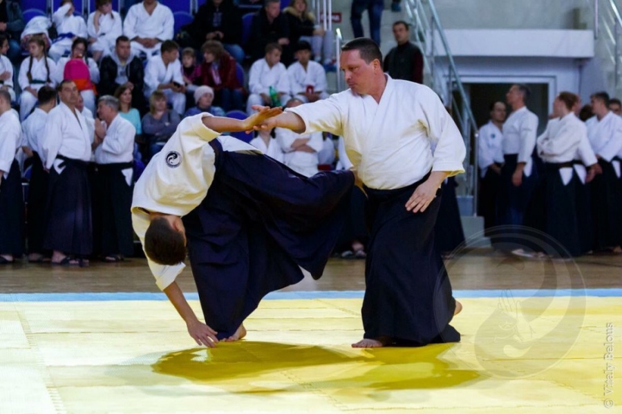 Types of insurance for aikido