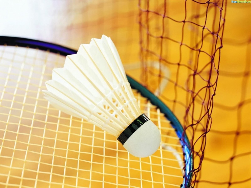 sport insurance policies for badminton