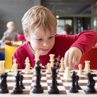 детская страховка для игы в шахматы