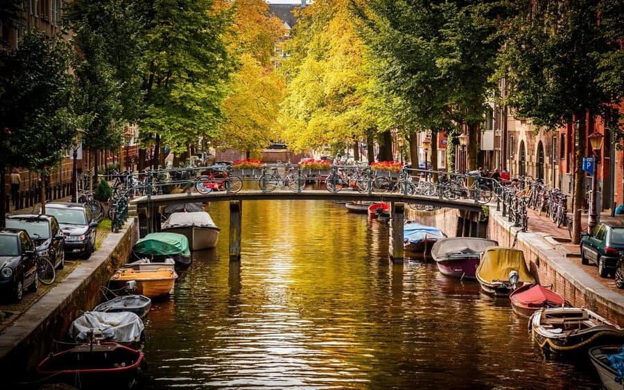страховка на визу в Нидерланды